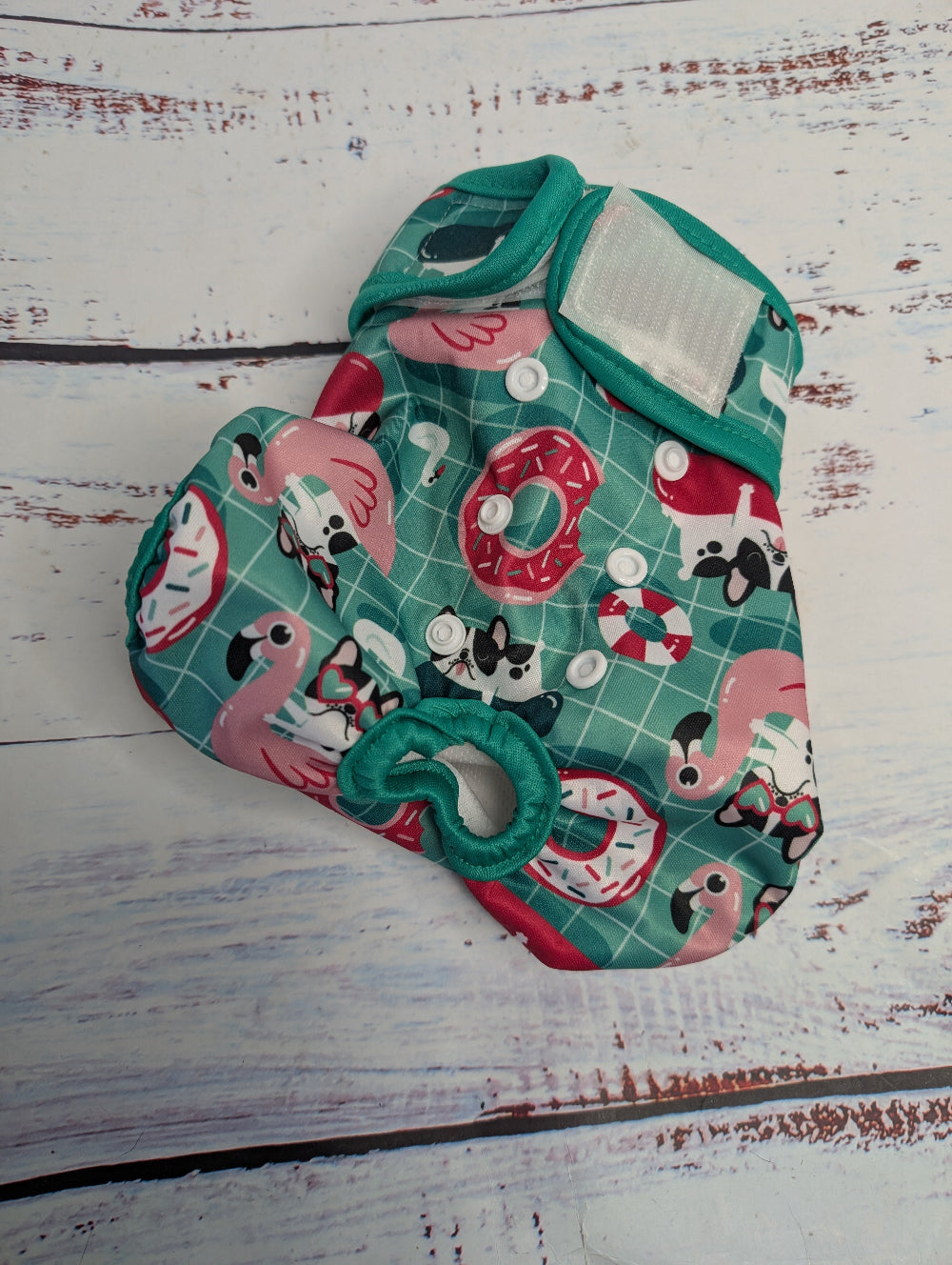 sample dog nappy