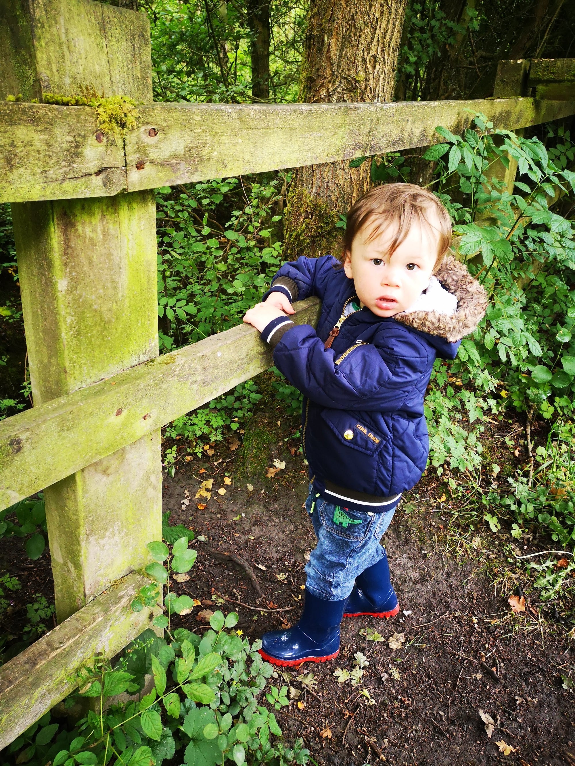 How did Green Cheeks begin? - Green Cheeks