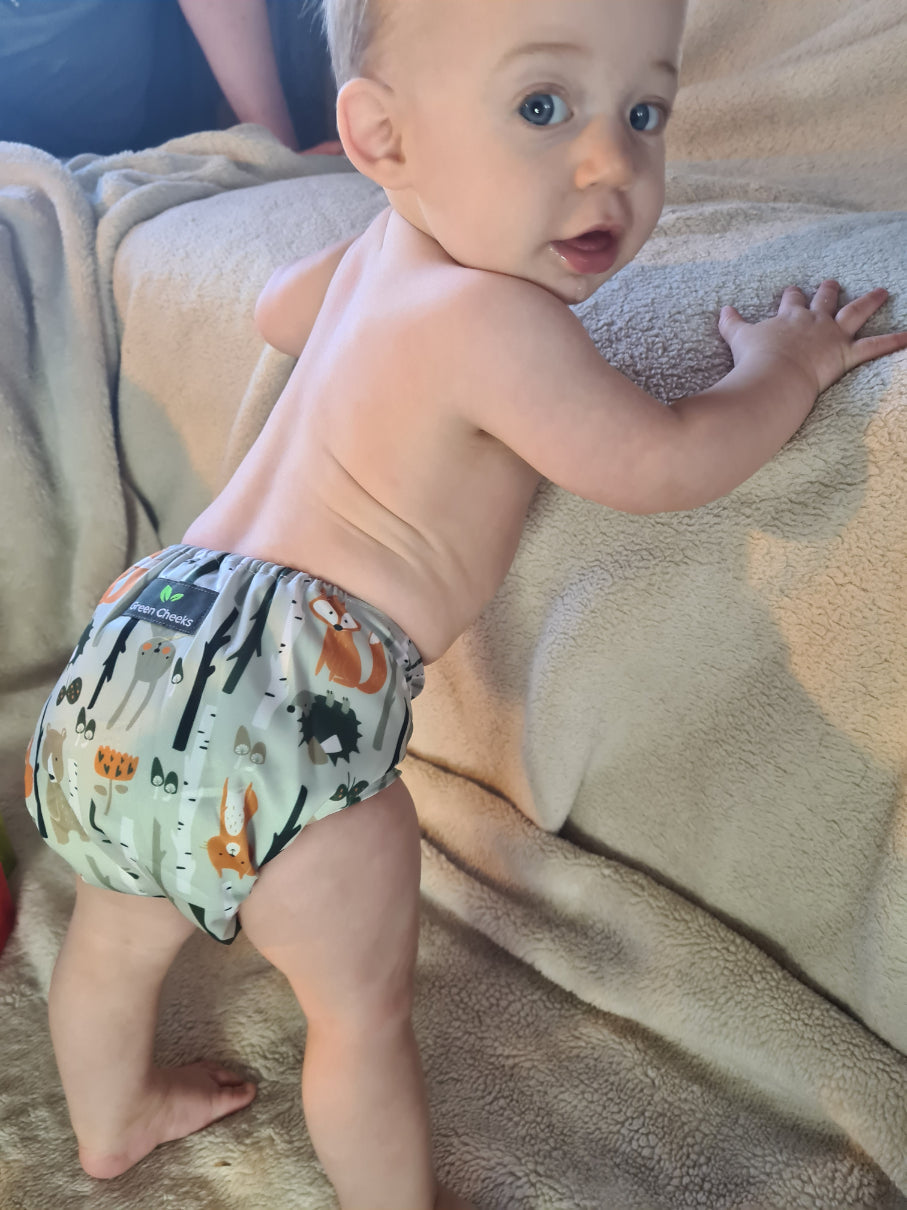 A baby stands wearing a woodland reusable cloth nappy. 