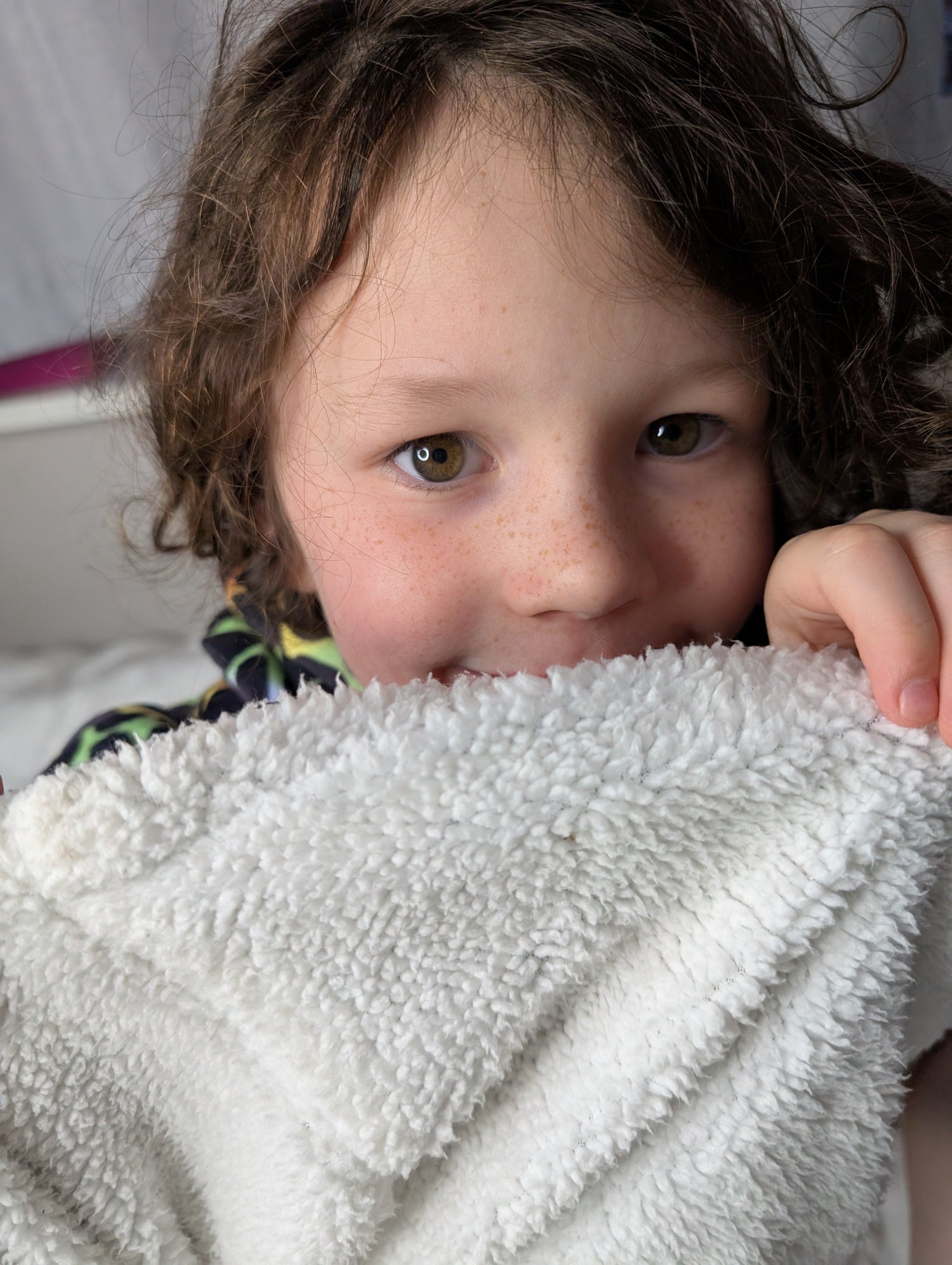 Cosy Hooded Blankets