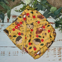 Load image into Gallery viewer, Cloth pocket nappies with hemp boosters displayed neatly, offering a reusable and soft alternative to disposable diapers in a cute hedgehog print
