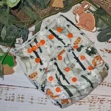 Load image into Gallery viewer, Green Cheeks Cloth Hemp Reusable Nappy
