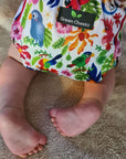 Justa - The Pocket Nappy - Green Cheeks - cloth nappy