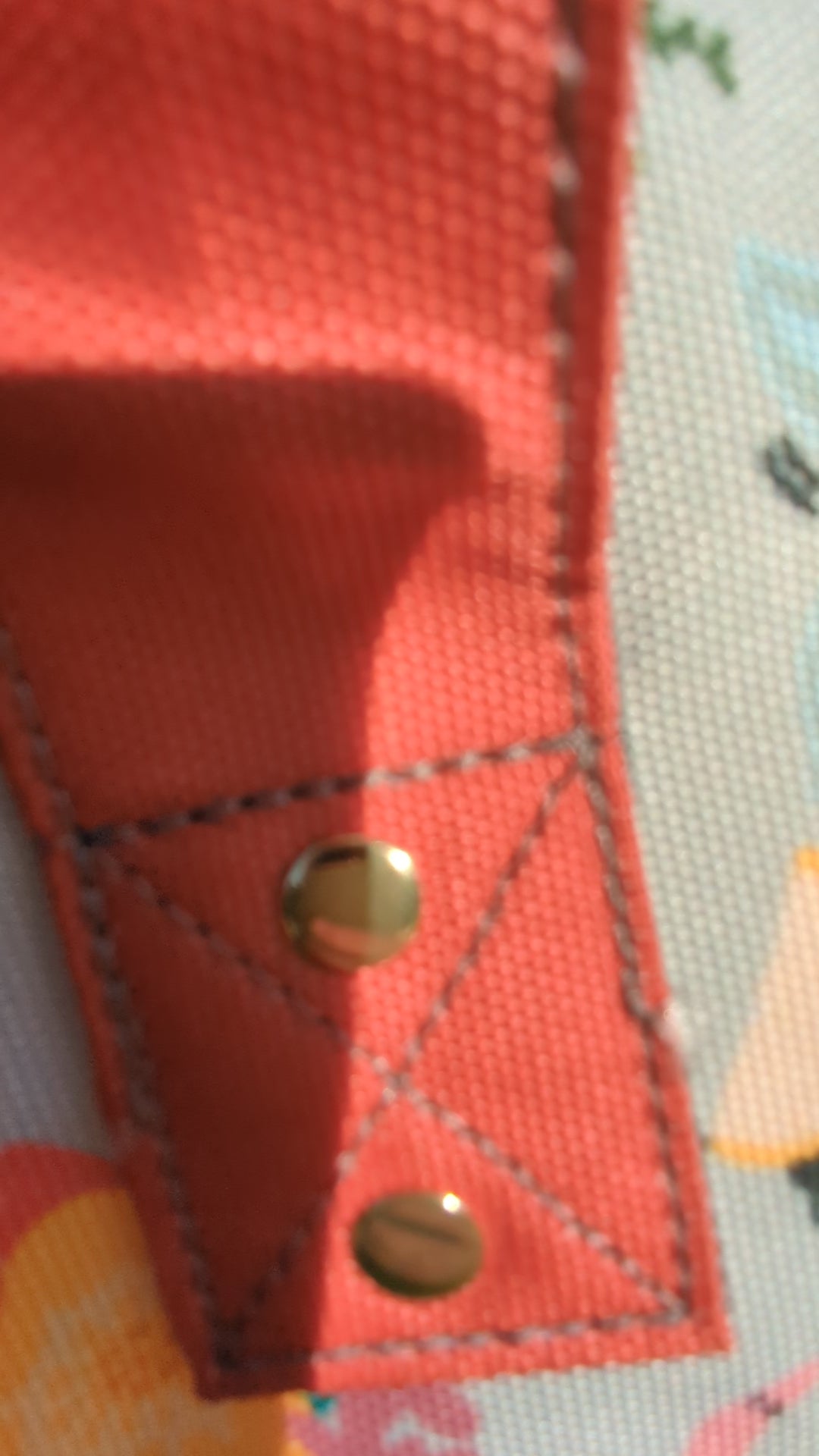 Garden video of a bugs baby changing bag