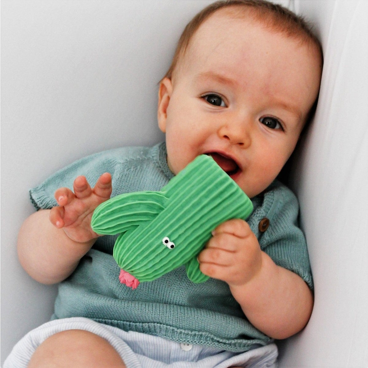 A set of beautiful rubber teether toys for baby, a textured star, mushroom & cactus